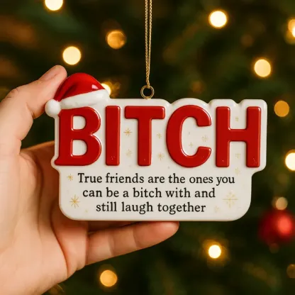 Funny Friendship Christmas Ornament