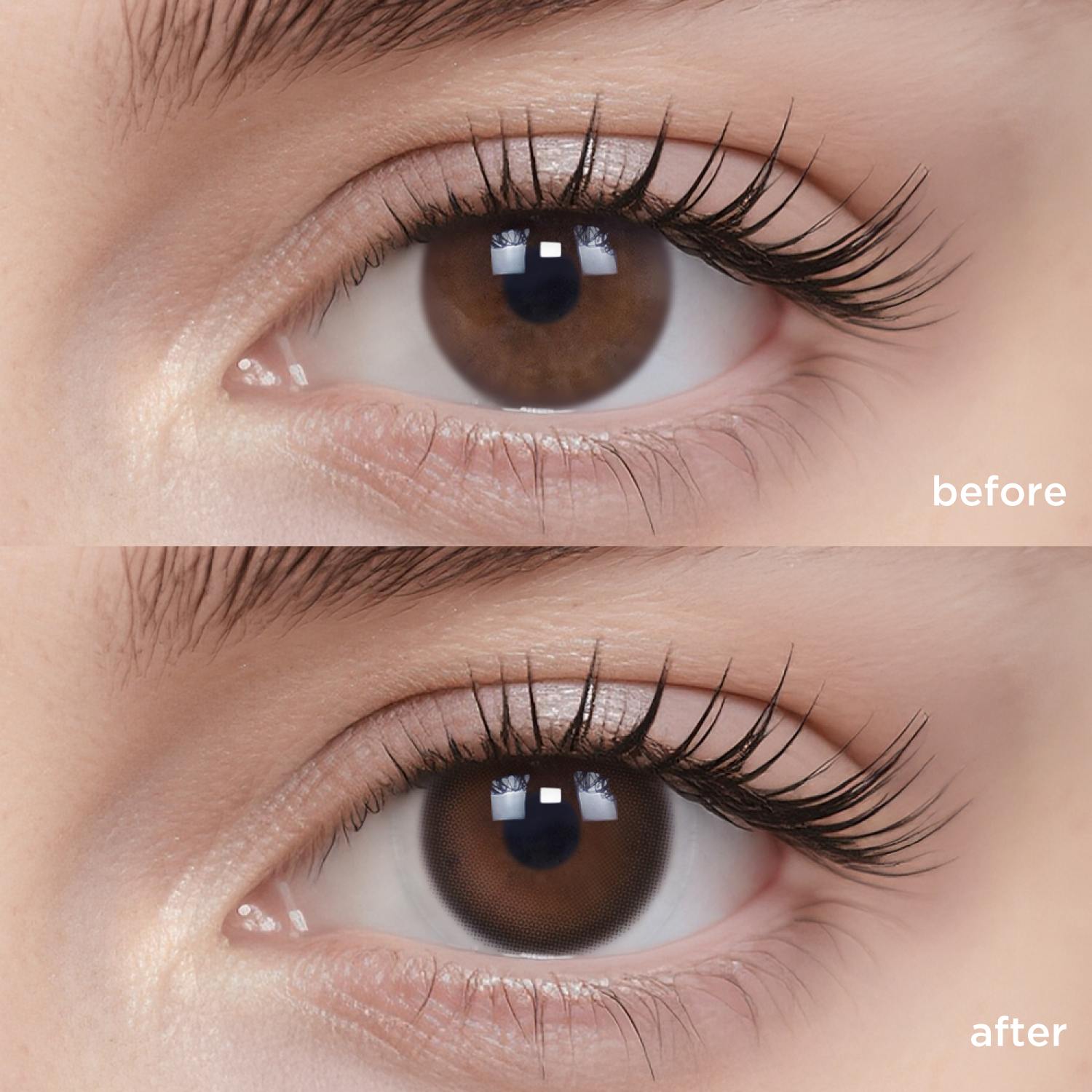 Shadow Rose-moodylenses