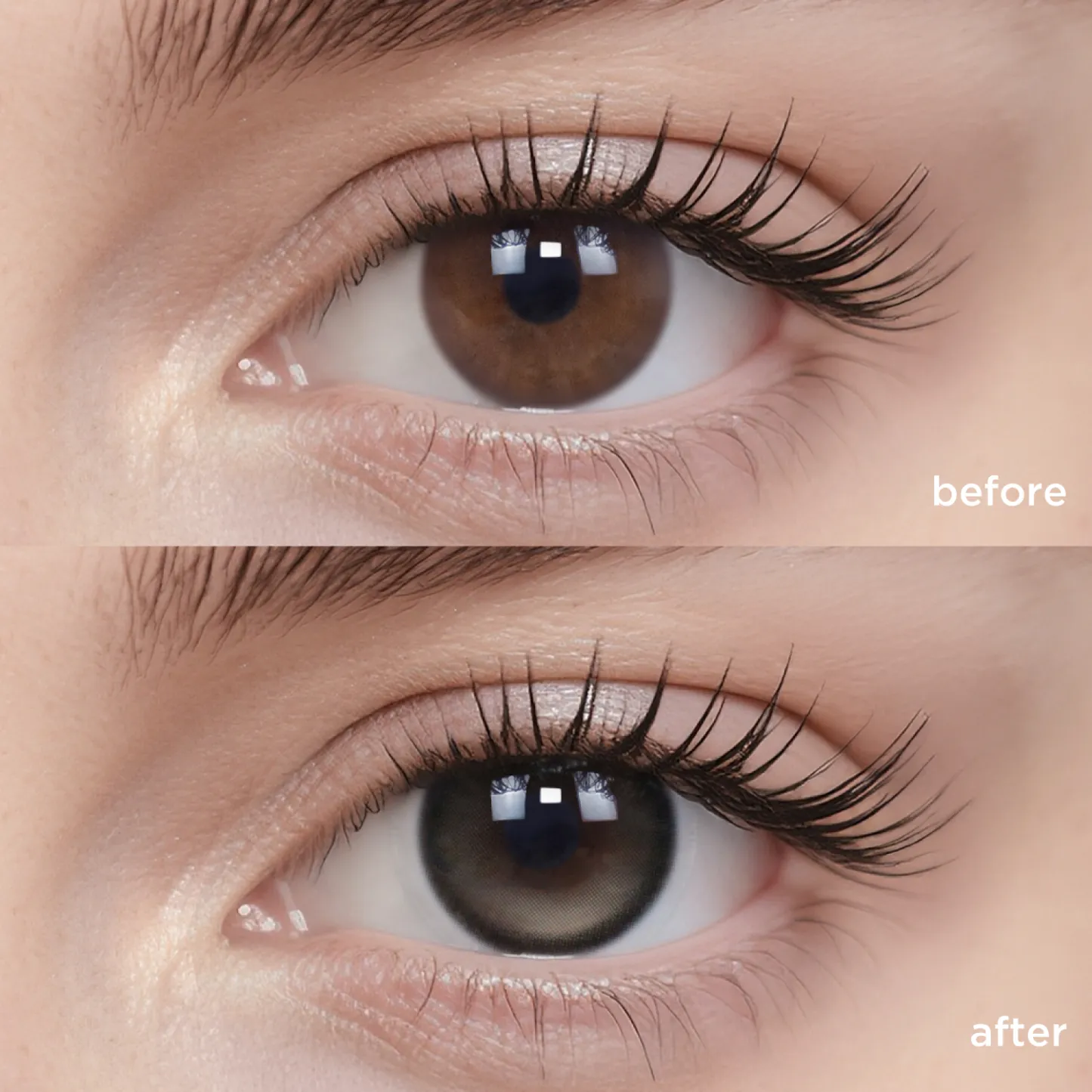 GlowyLock™ Sesame Pudding（1 pc）