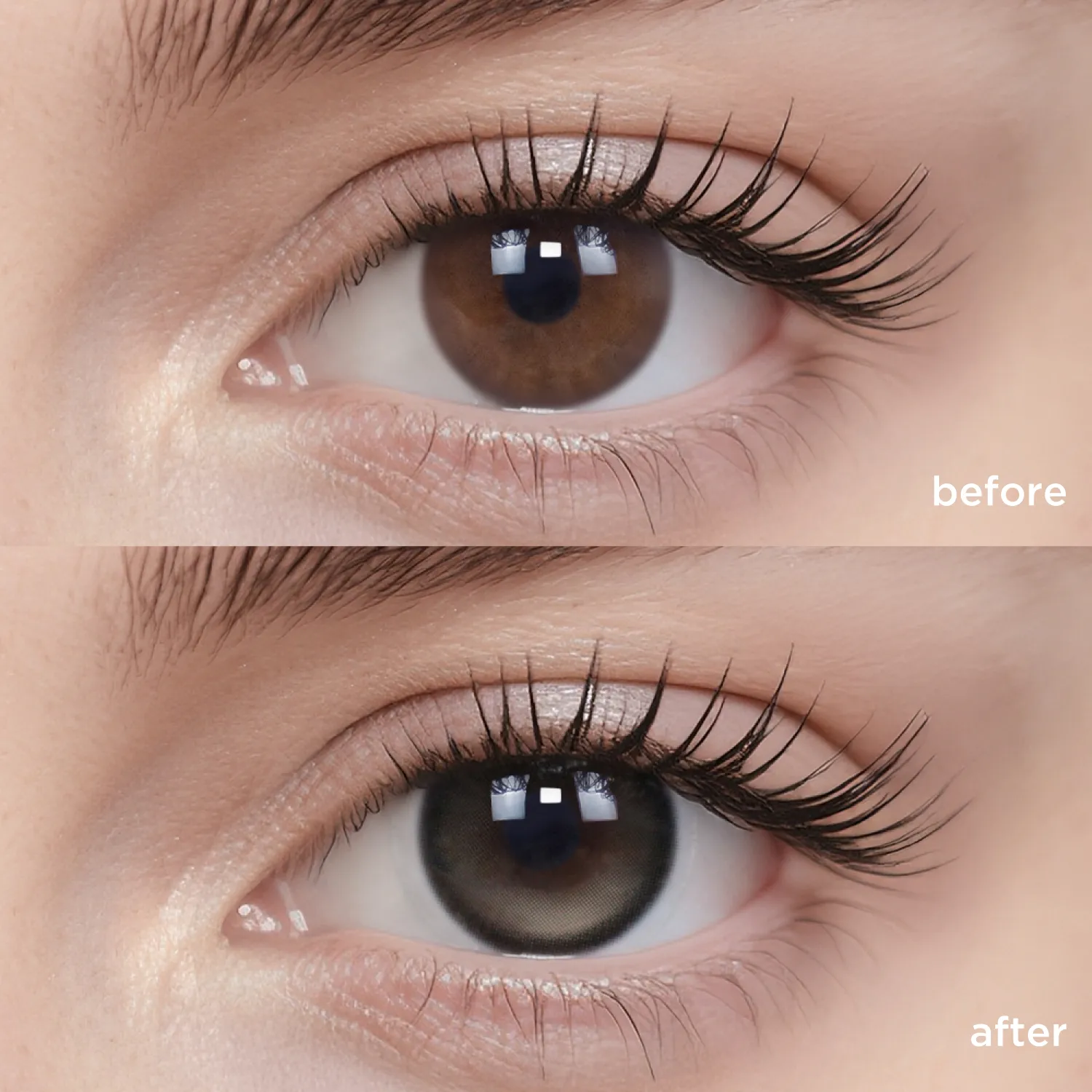 GlowyLock™ Sesame Pudding（1 pc）