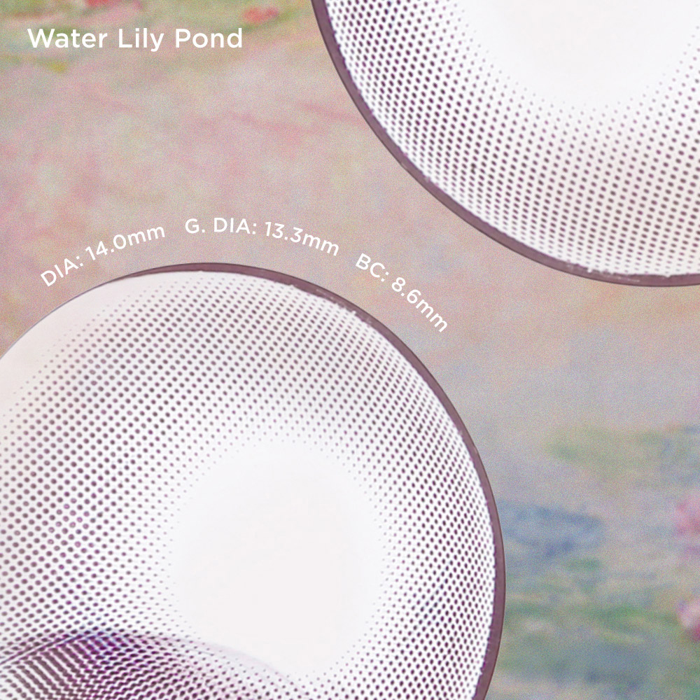 Water Lily Pond