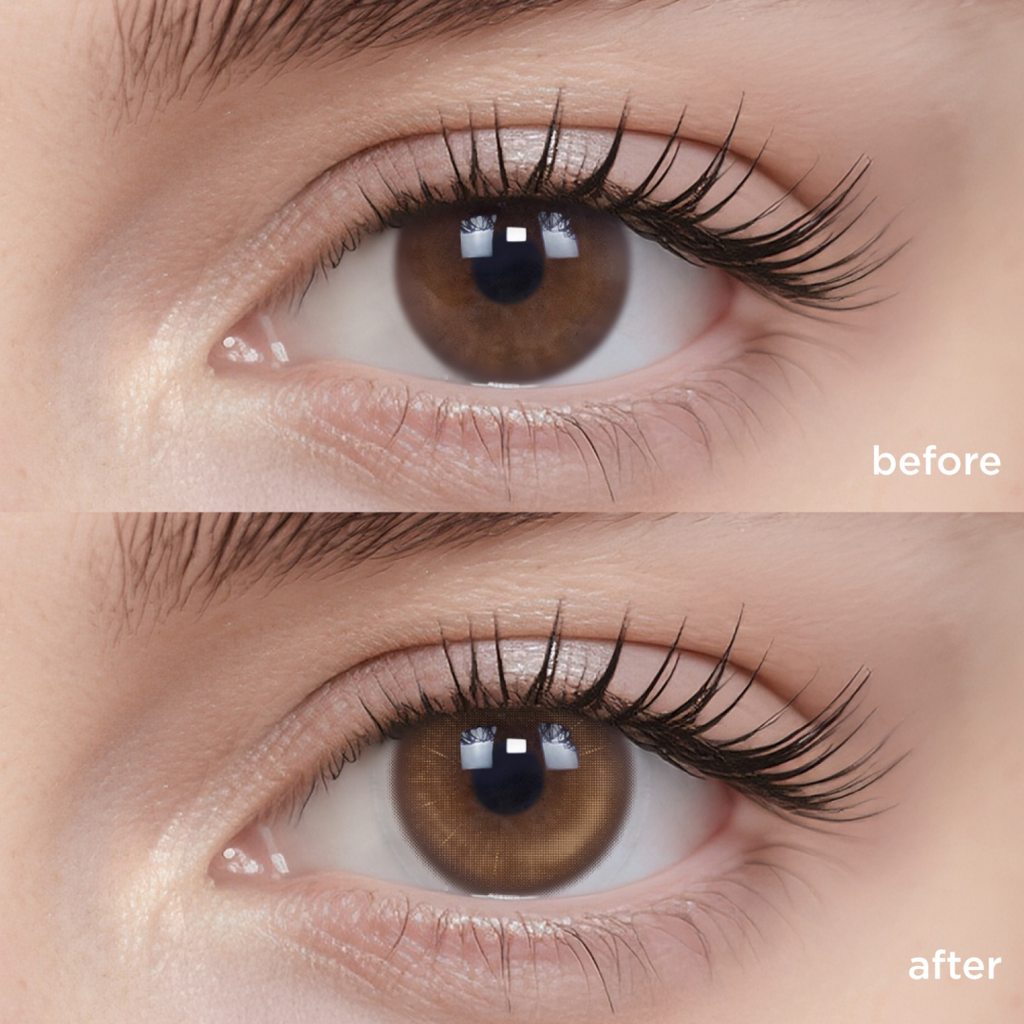 Iced Shaken Apricot Tea(1 pc)