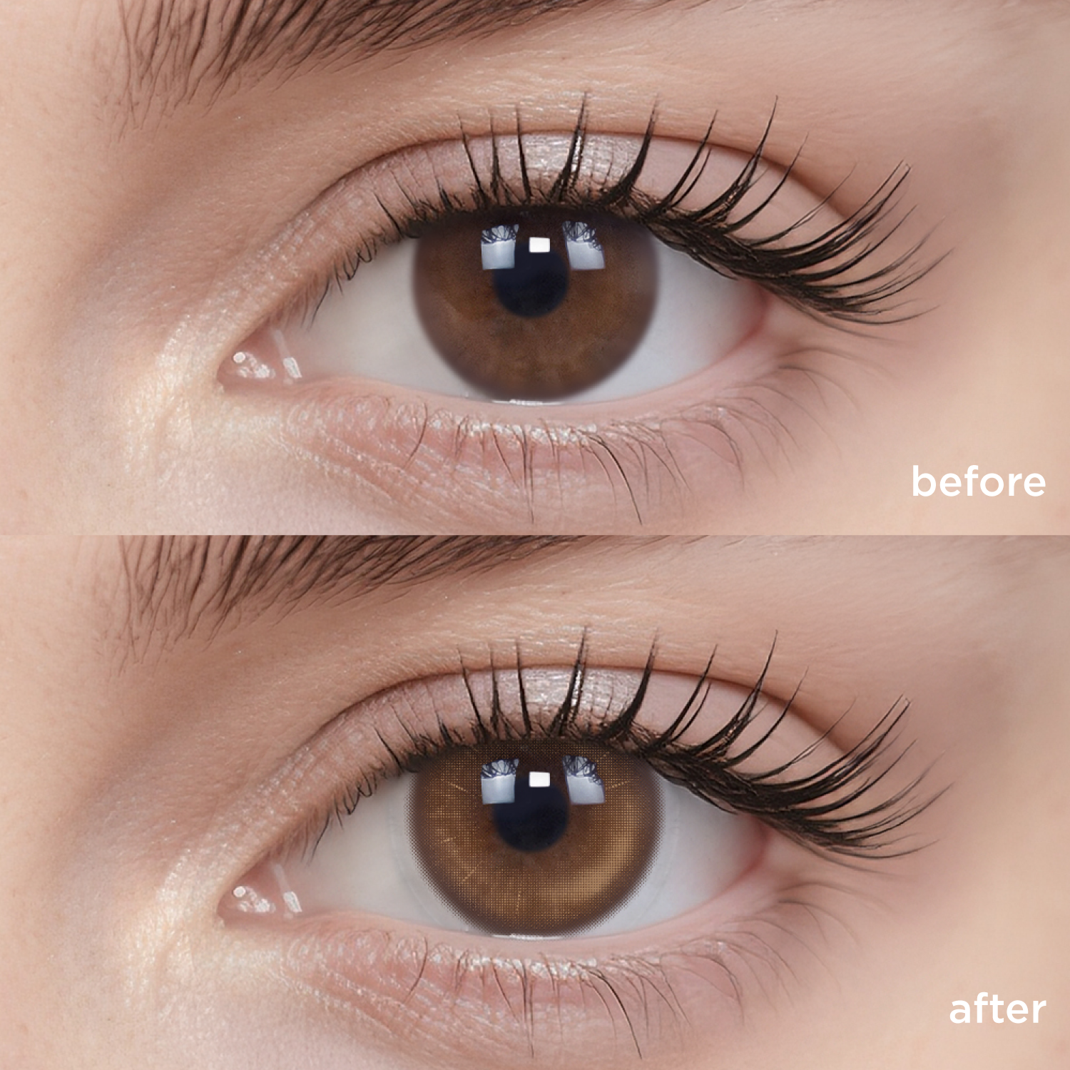 Iced Shaken Apricot Tea(1 pc)