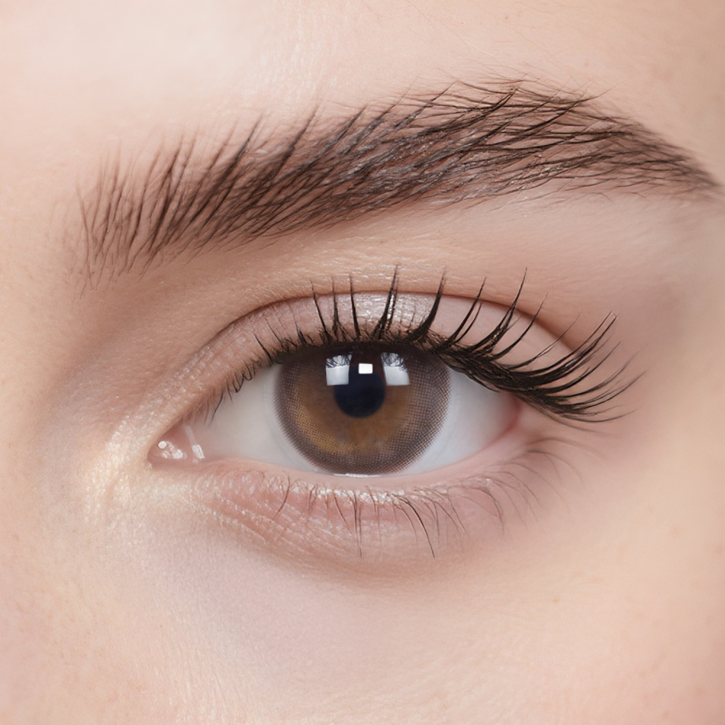 Cold Brew Oolong (1 pc)