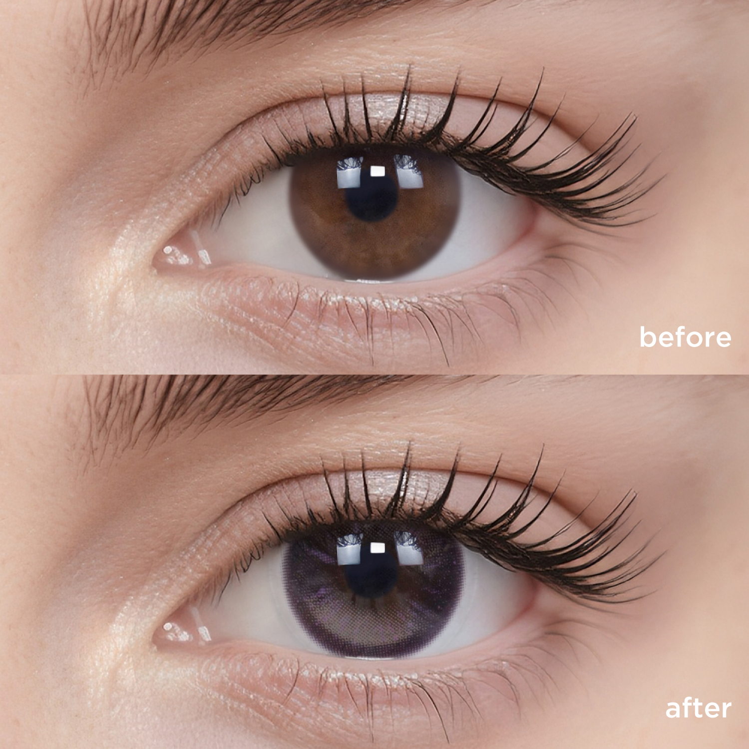 Firework Dreamlight-moodylenses