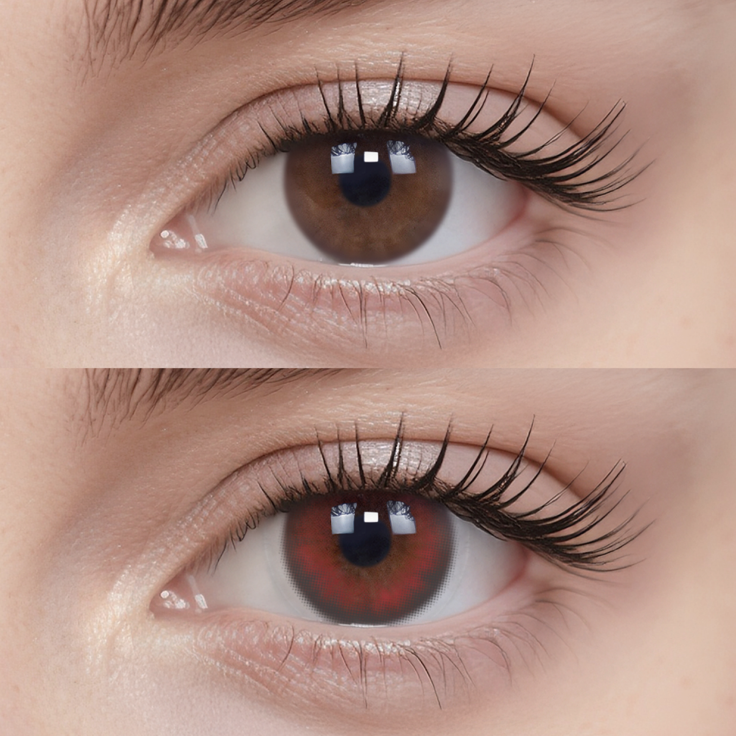 Raspberry Red|1 Day,20pcs