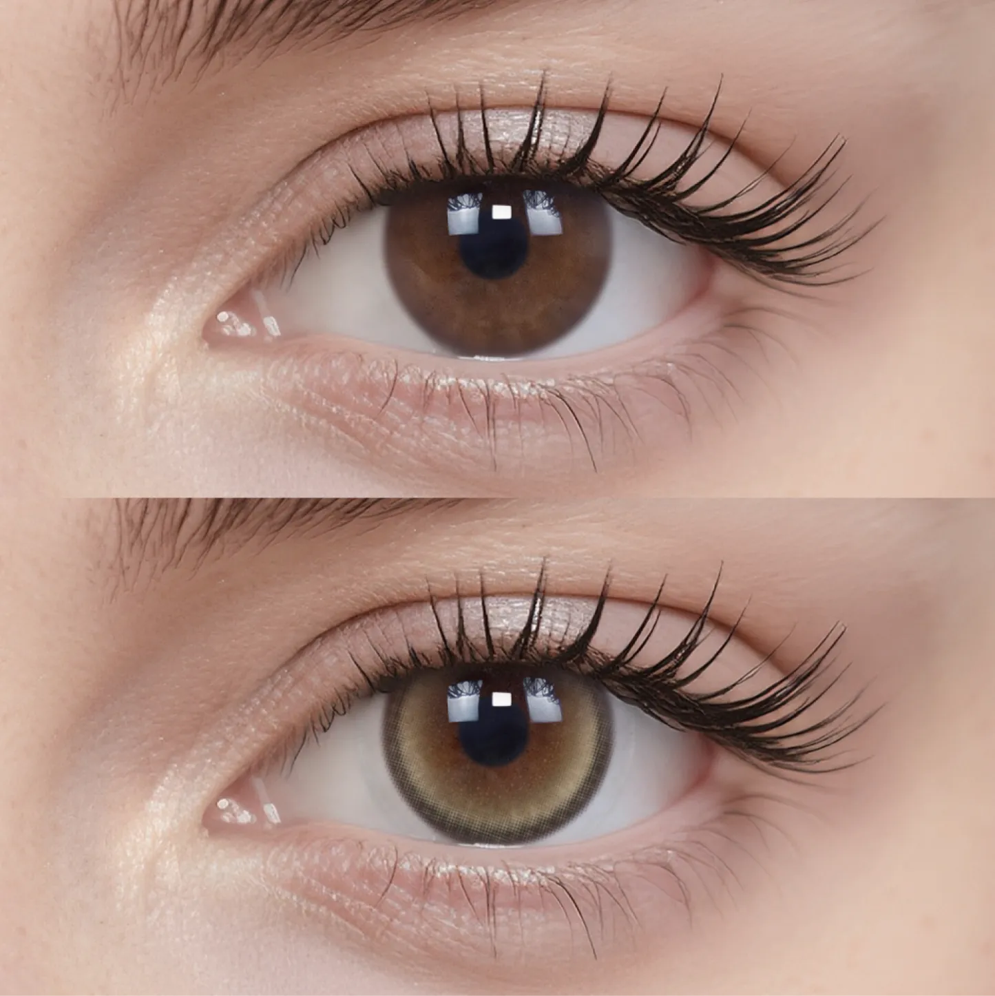 Moonlit Hazel|1 Day,20pcs