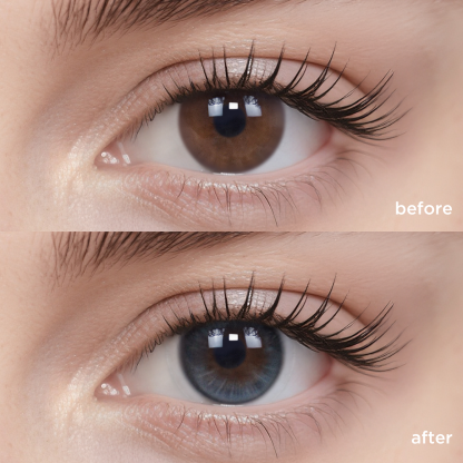 Blue Frost Oolong(1 pc)