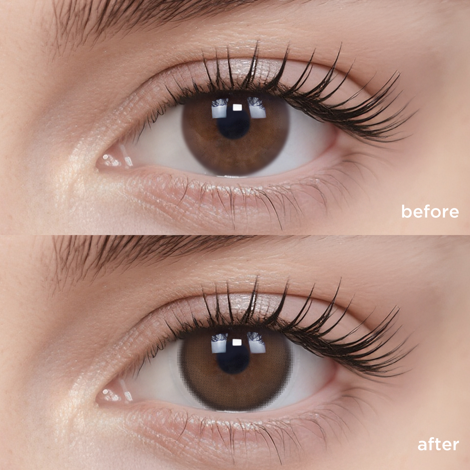 Apricot Glow(1 Months)