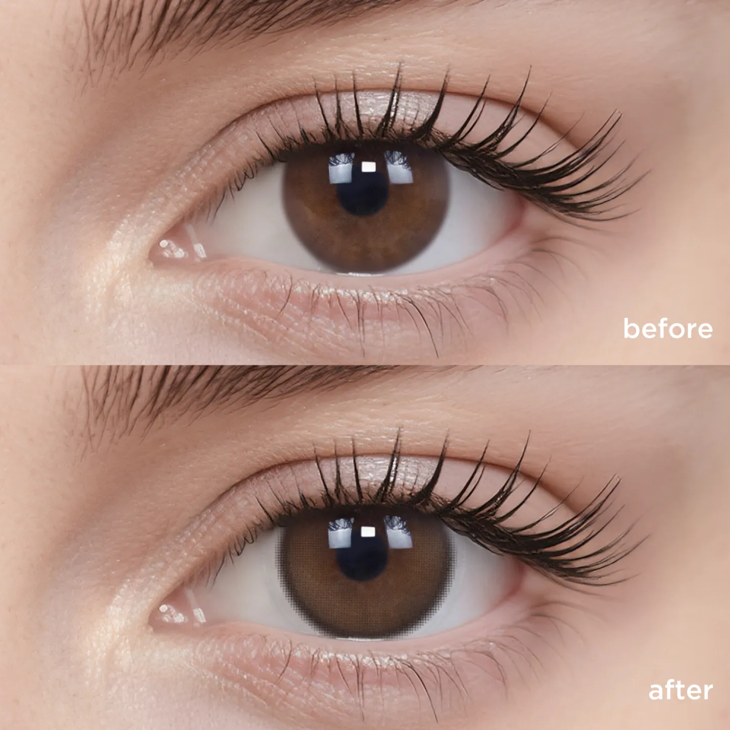 Apricot Glow(1 Months)