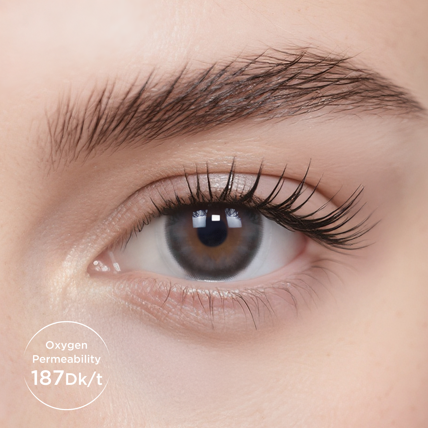 Breathe+Barley Tea(1 Month)-moodylenses