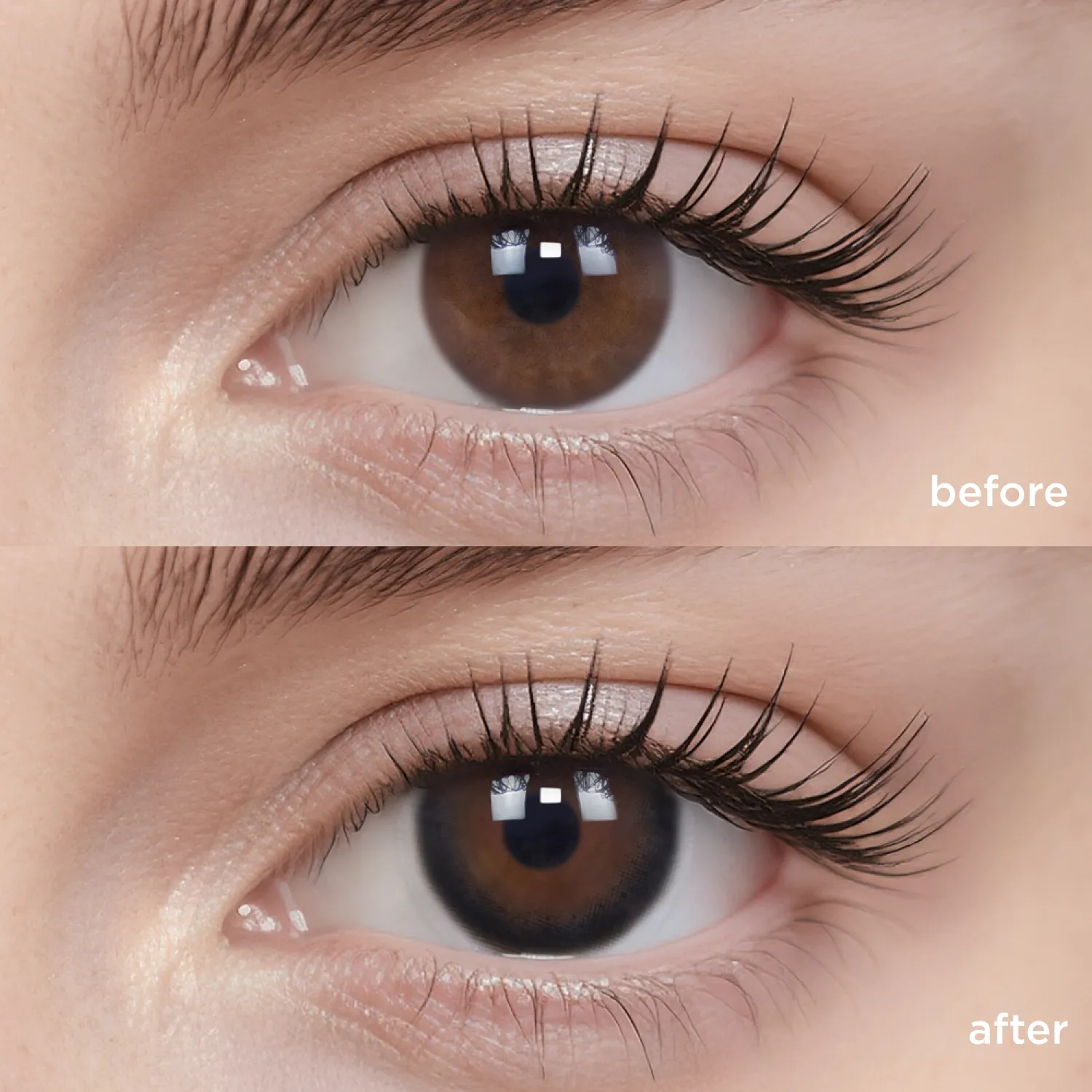 Black Sugar Pearl(6 Months)