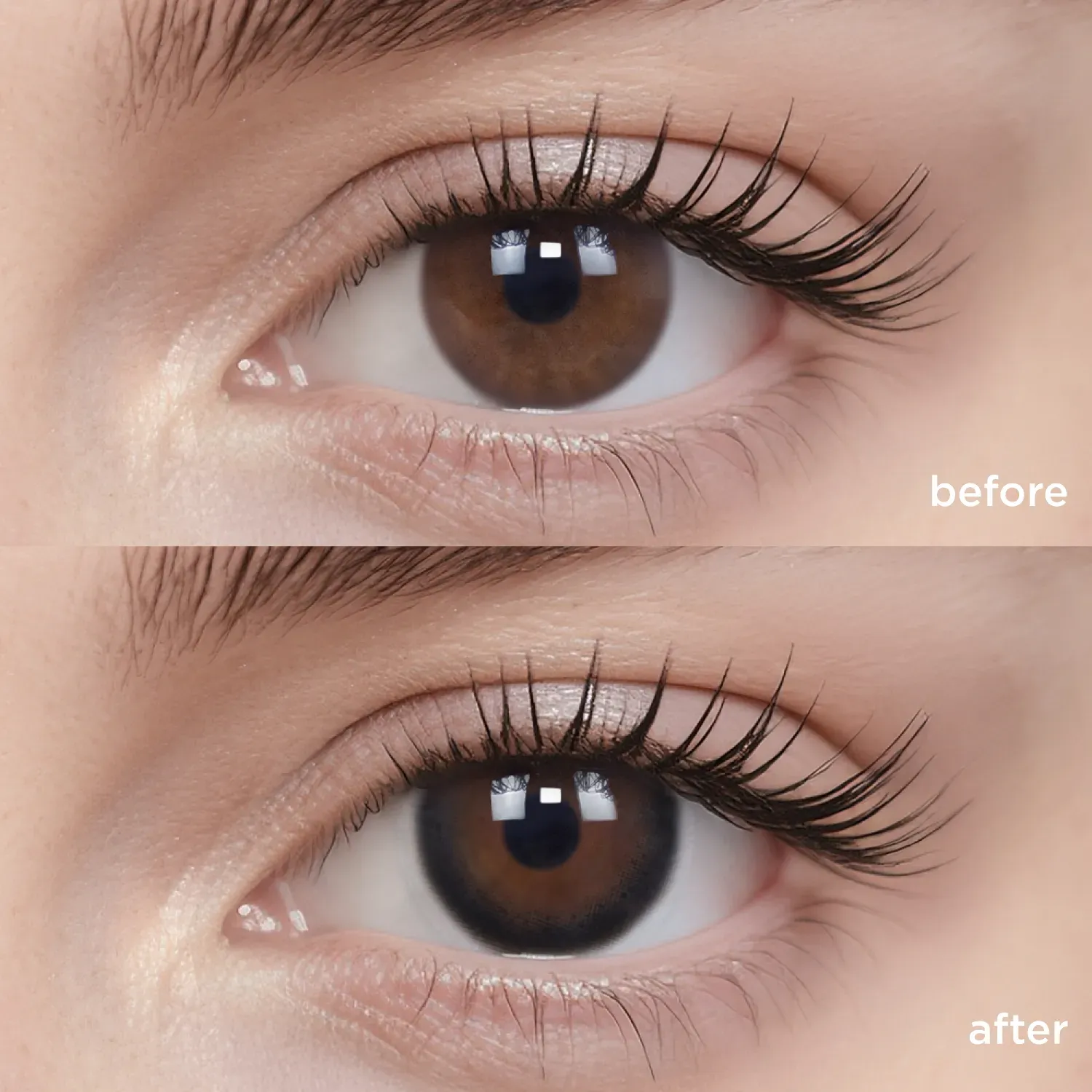 Black Sugar Pearl(6 Months)