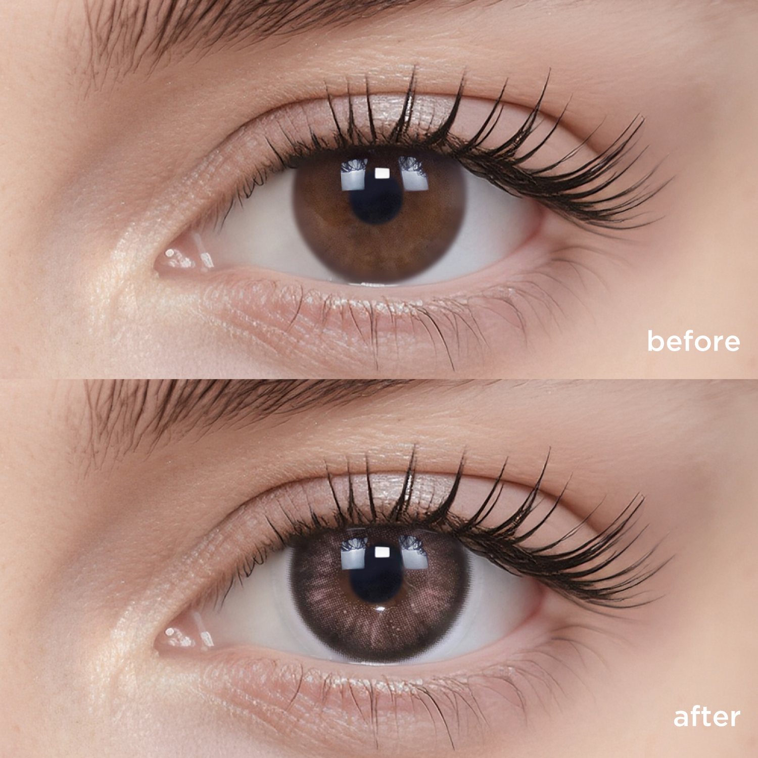 Firework Blossoming-moodylenses