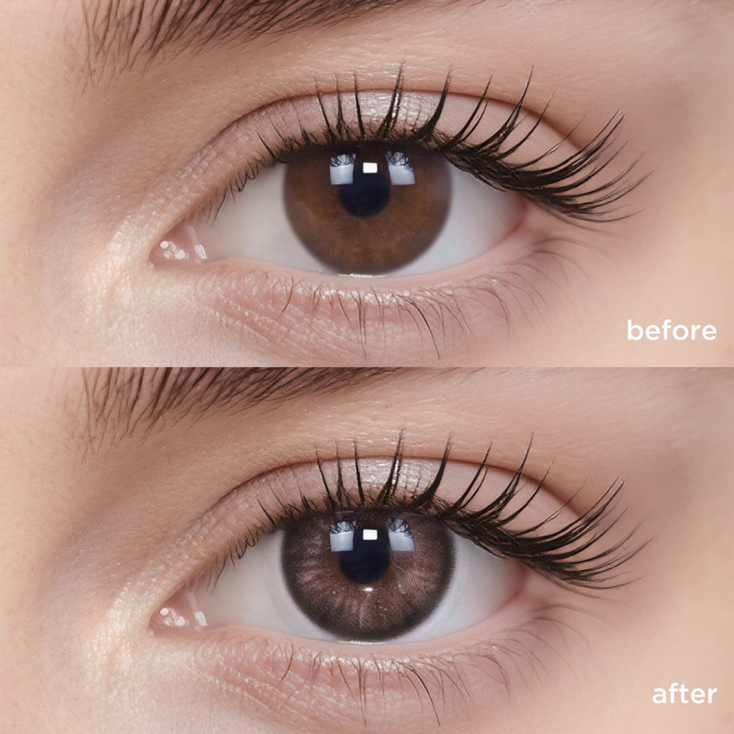 Firework Blossoming-moodylenses