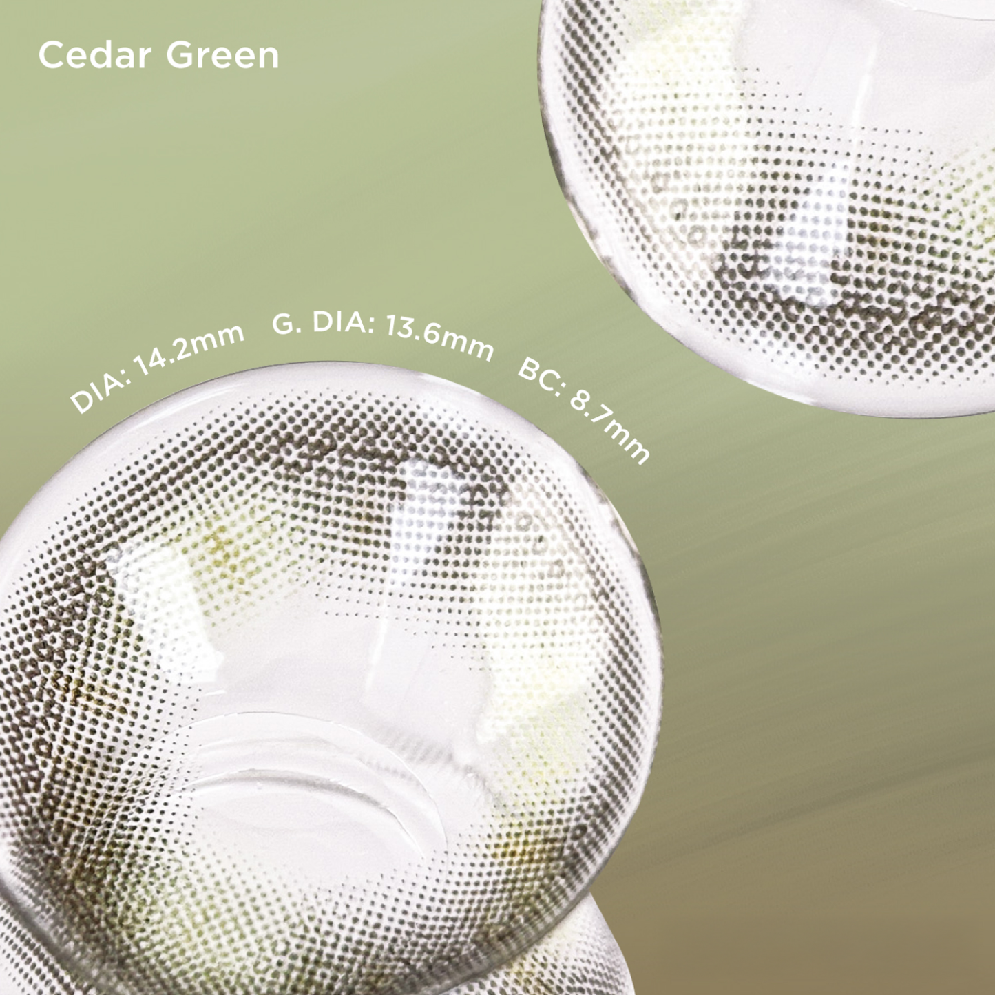 Cedar Green