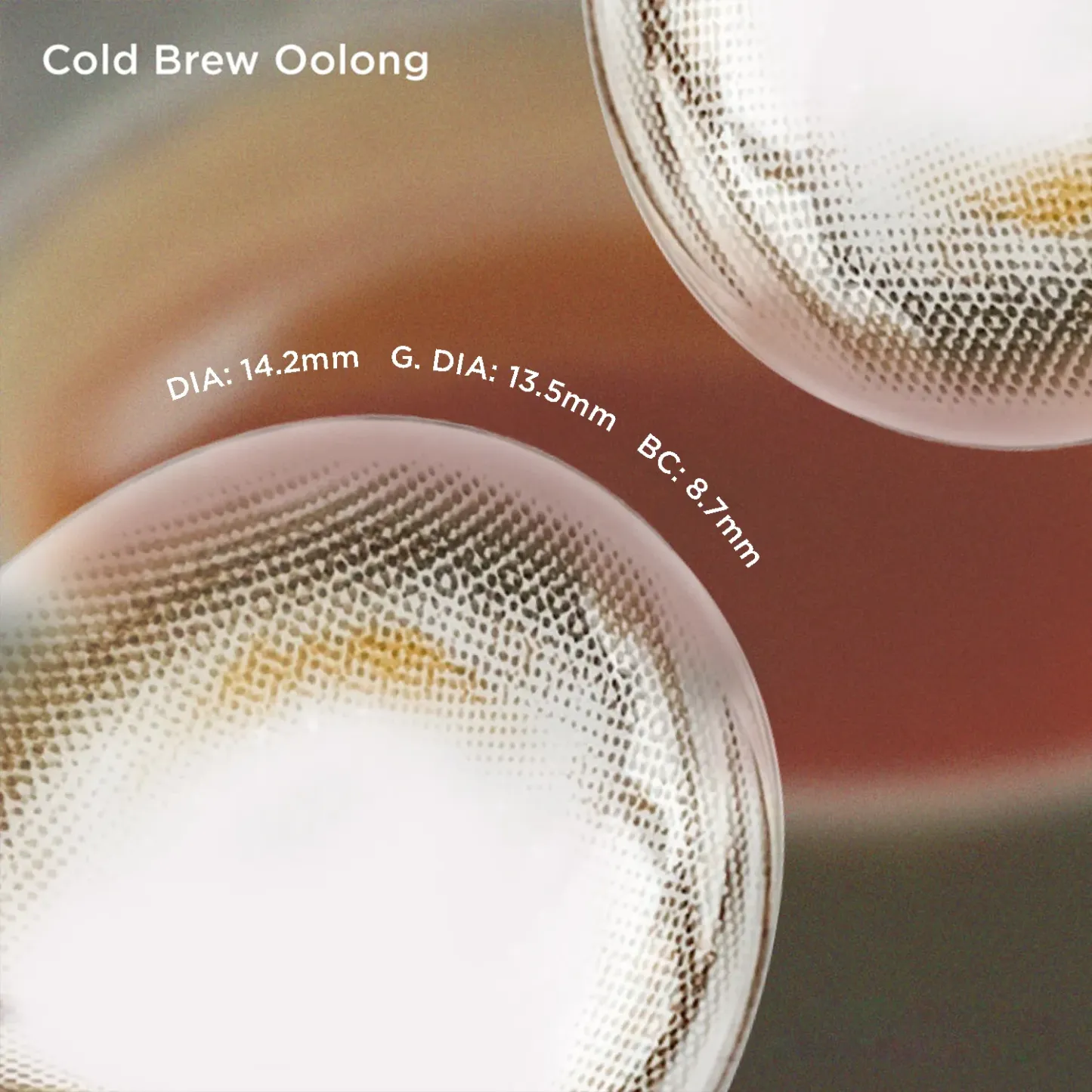 Cold Brew Oolong(6 Months)