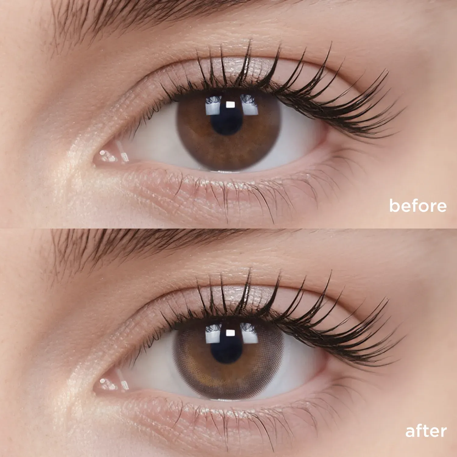 Cold Brew Oolong(1 Day)