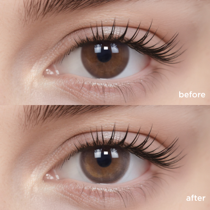 Cold Brew Oolong (1 pc)