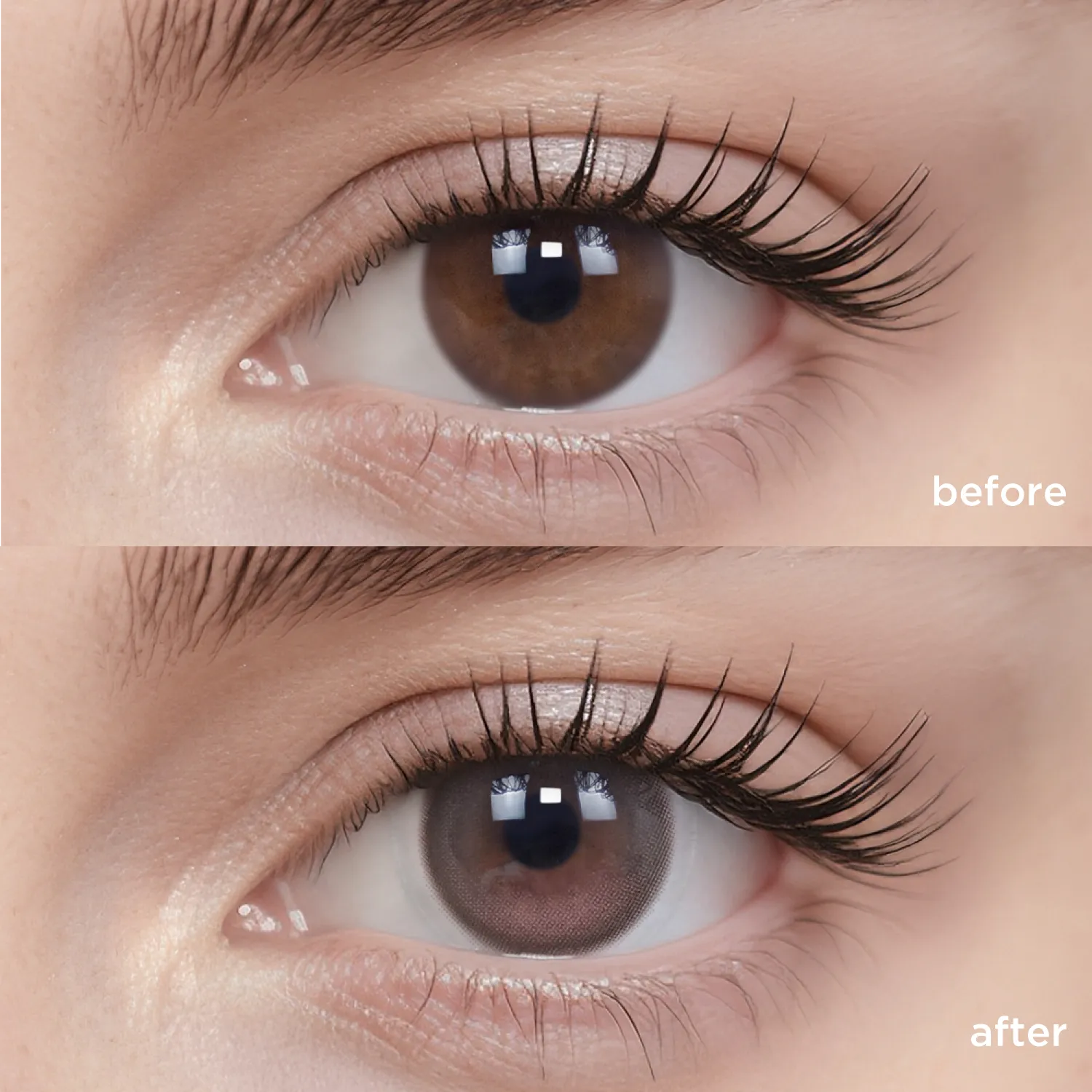 GlowyLock™ Dewy Peony(1 Month)