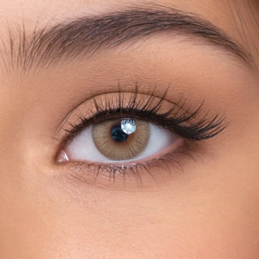 Donut Brown(1 pc)-moodylenses