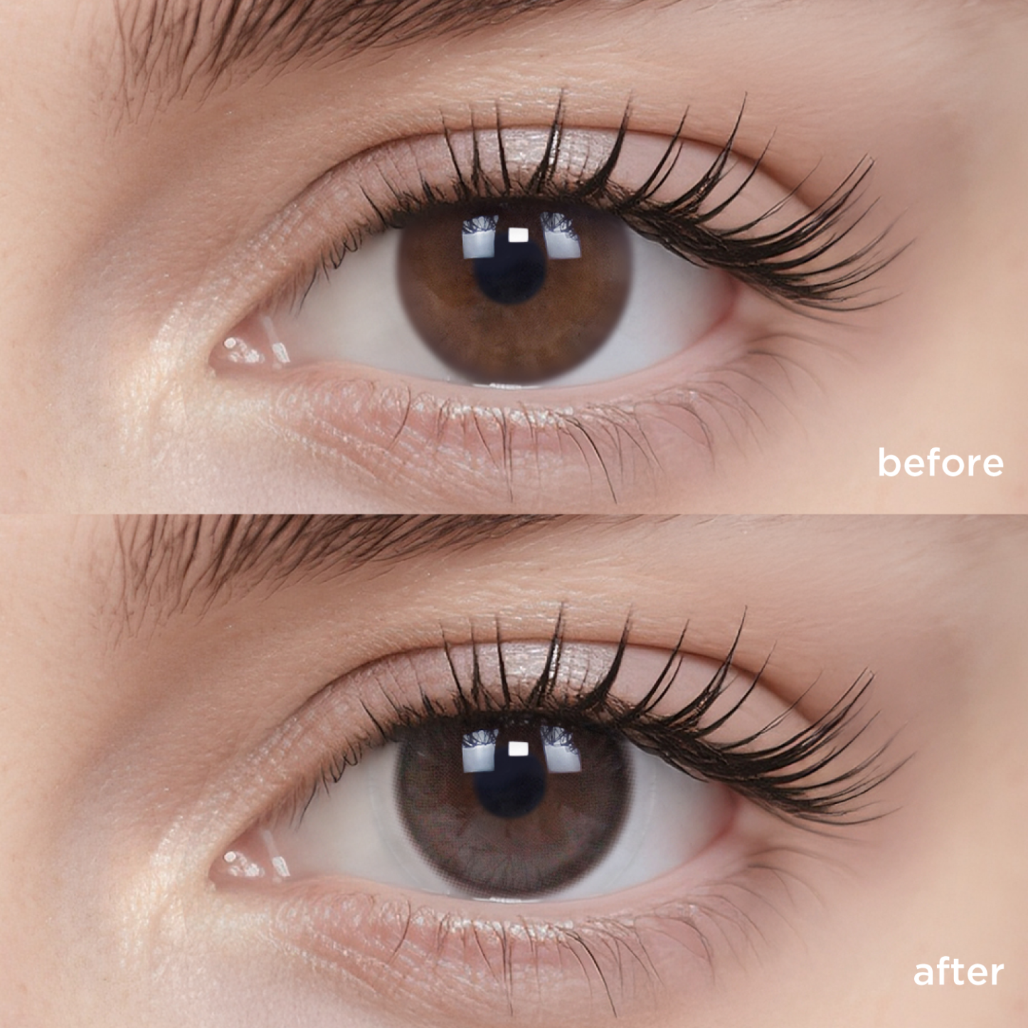 Double Fudge-moodylenses