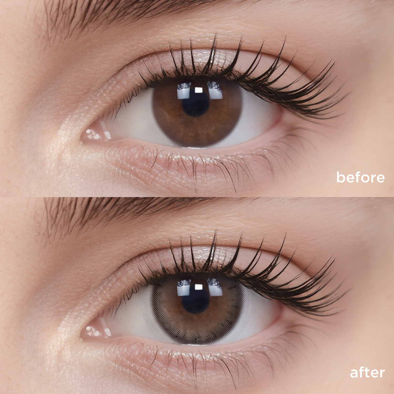 Earl Cream-moodylenses