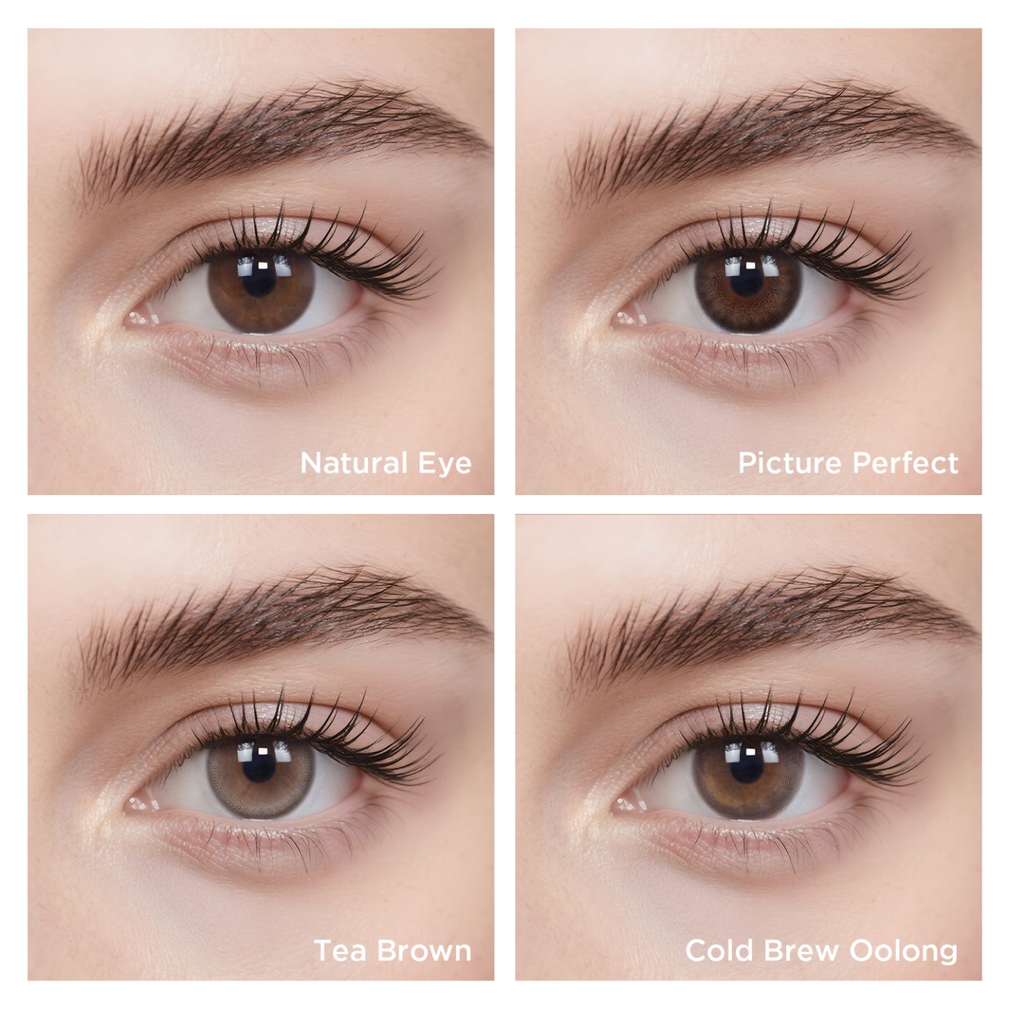 Effortless Mood Set-moodylenses