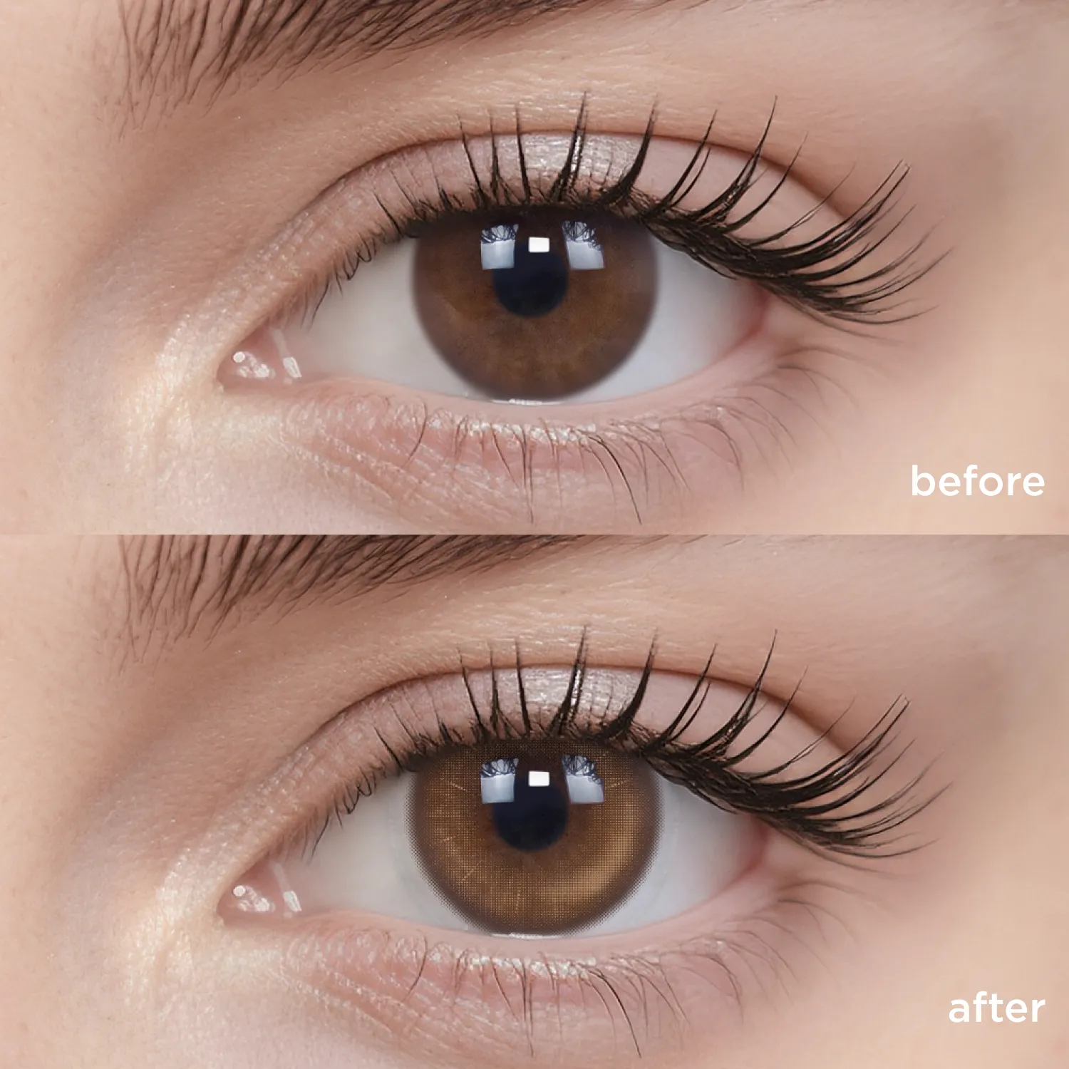 Iced Shaken Apricot Tea