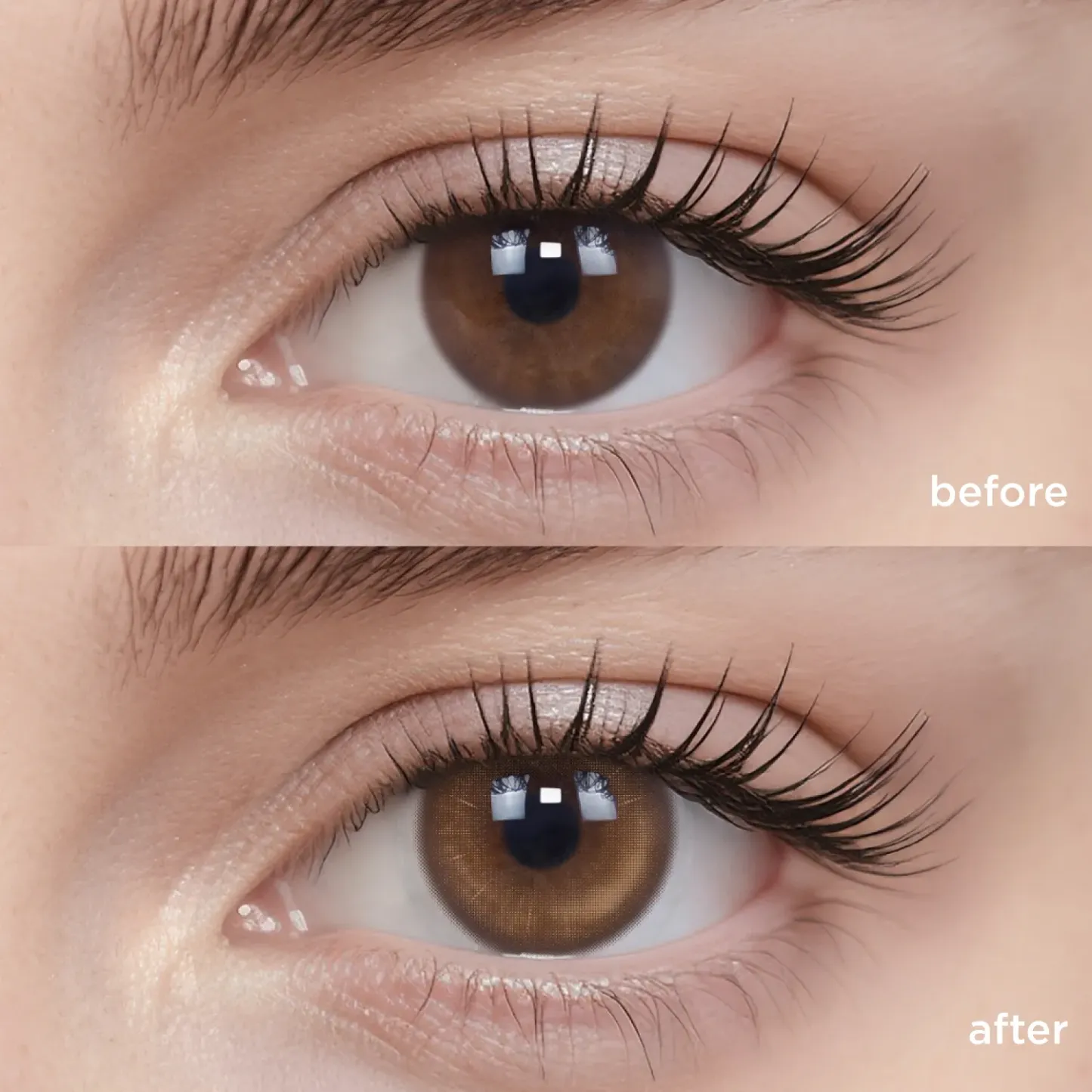 Iced Shaken Apricot Tea