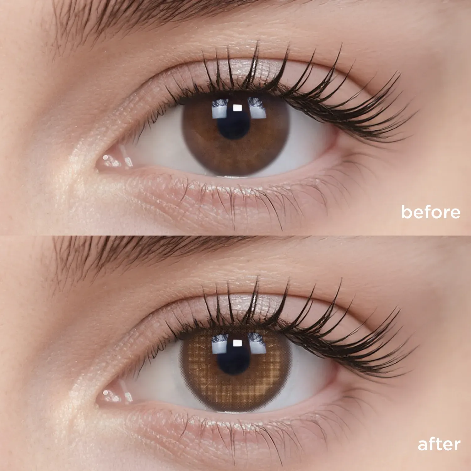 Iced Shaken Apricot Tea