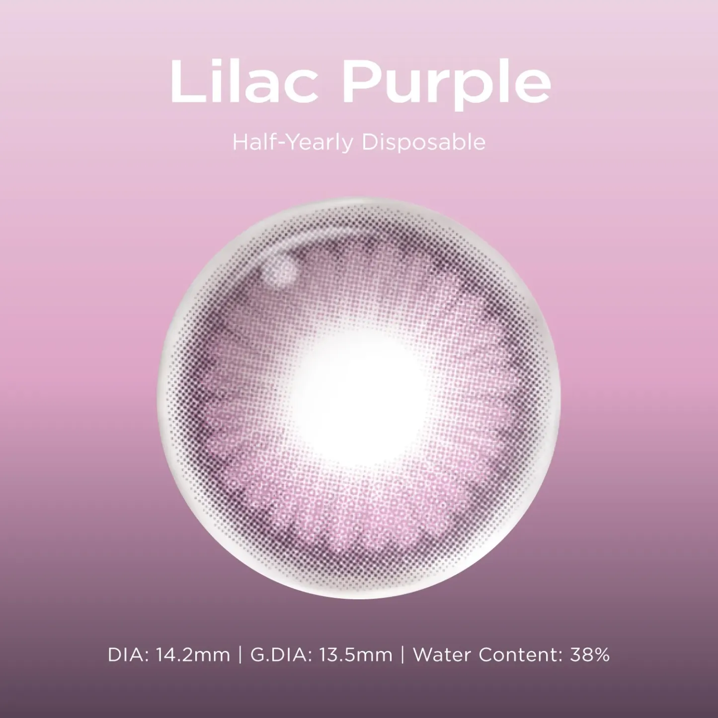 Lilac Purple