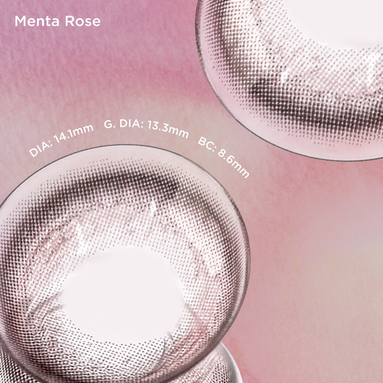 Menta Rose