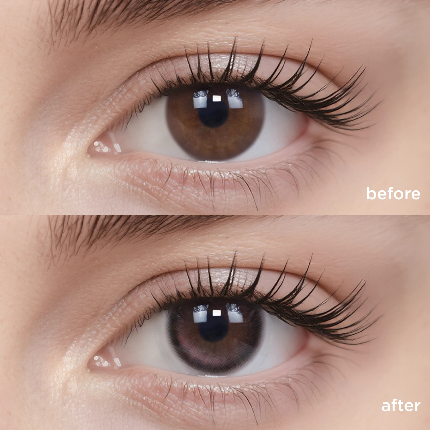 Midnight Ballet(1 Day)