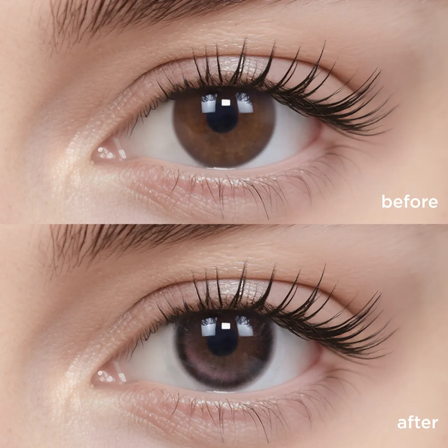 Midnight Ballet(1 Day)