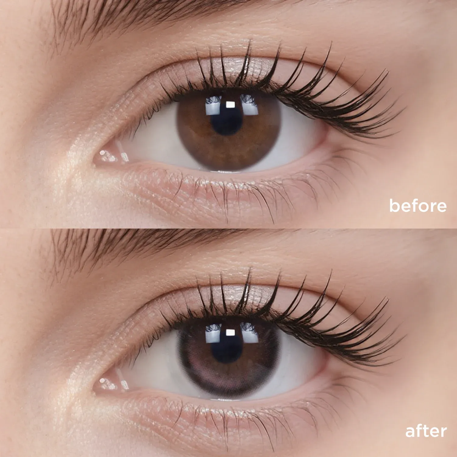 Midnight Ballet(1 Day)