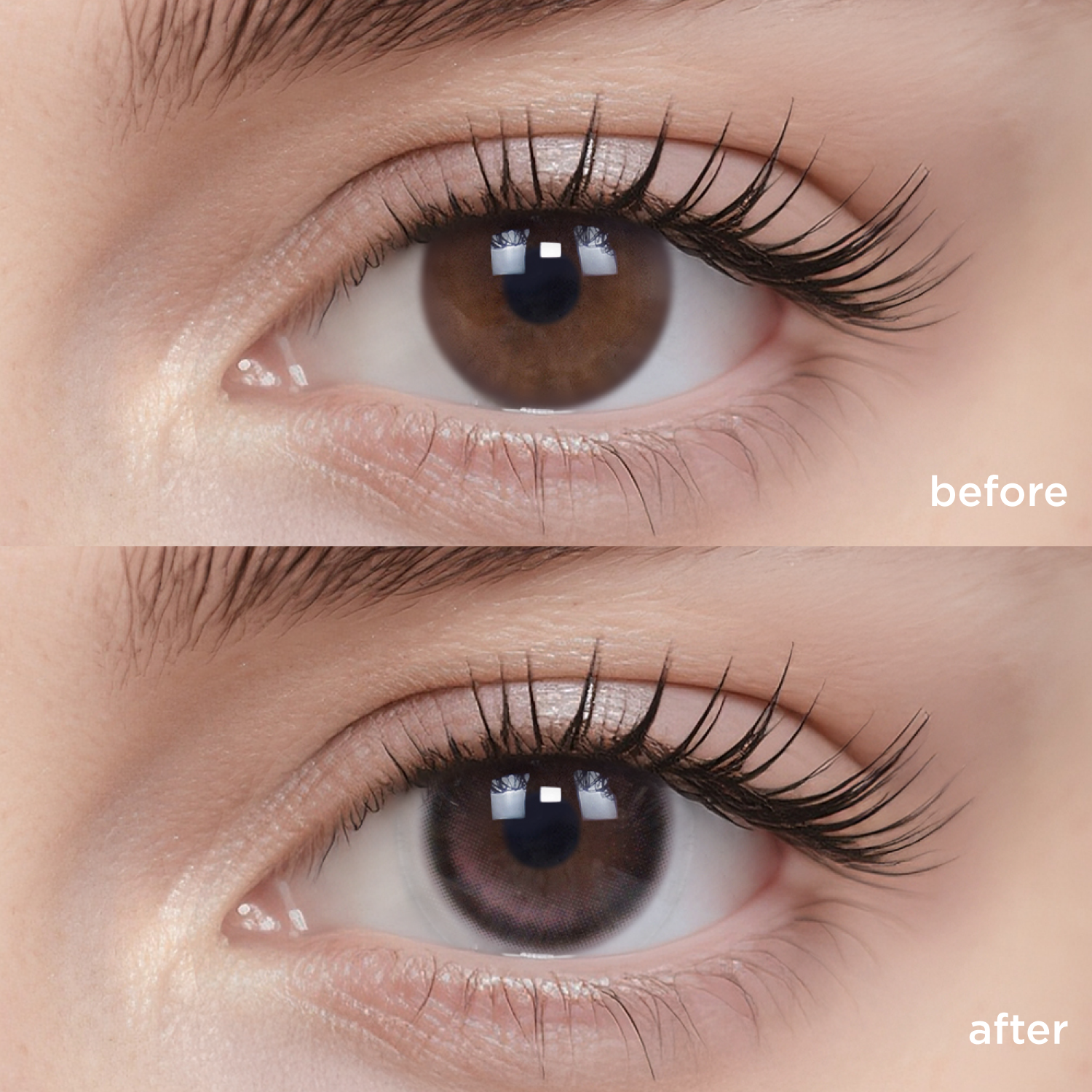 Midnight Ballet(1 pc)