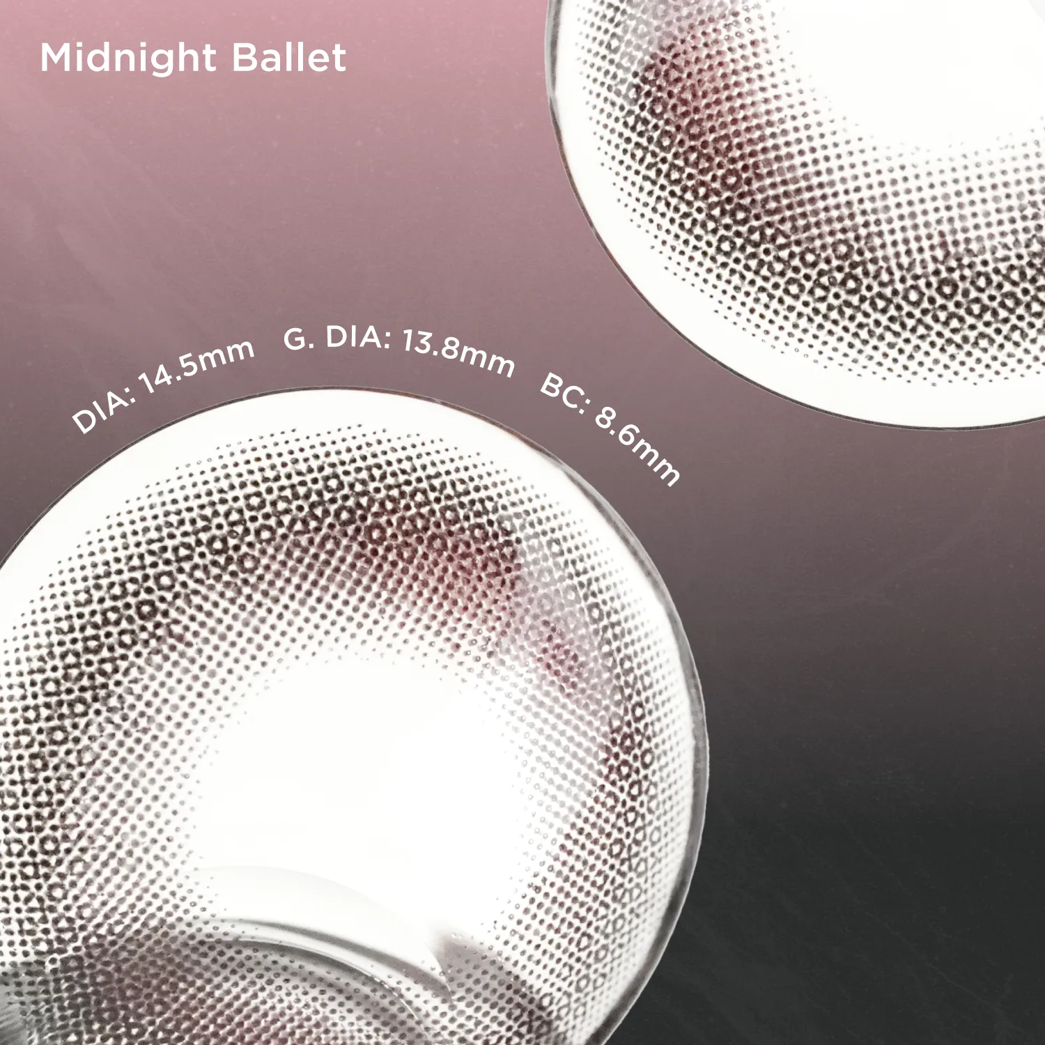 Midnight Ballet(1 Day)