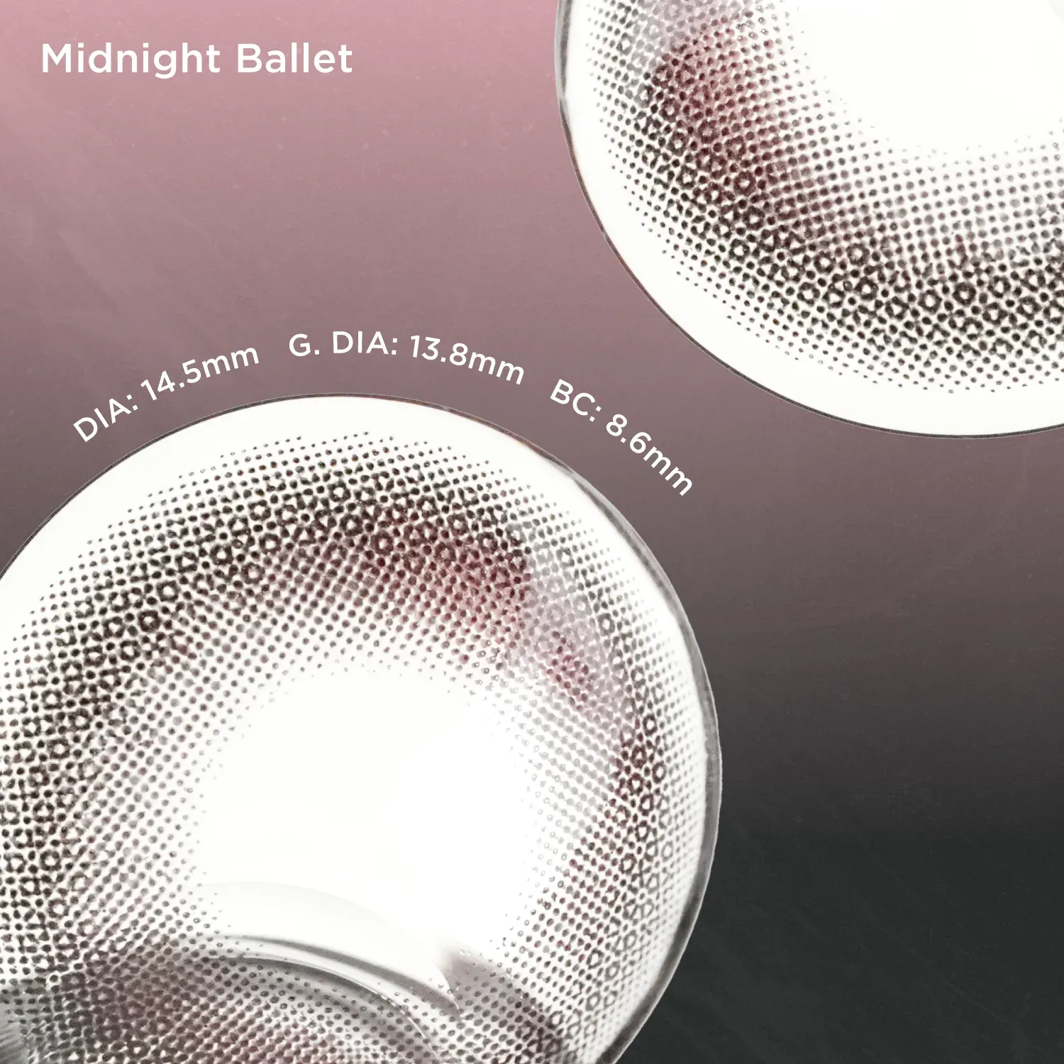 Midnight Ballet(1 Day)