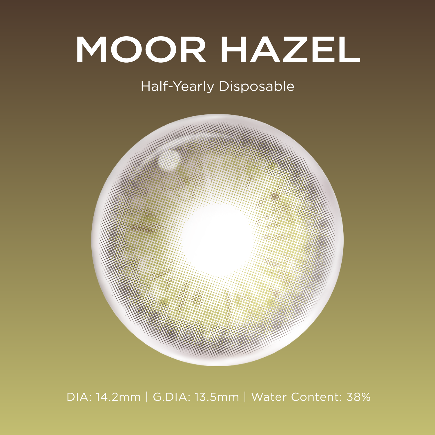 Moor Hazel(1 pc)