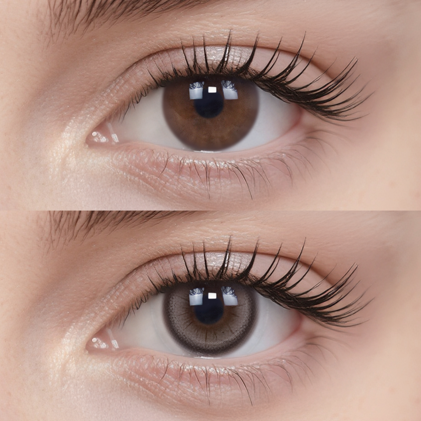 Mochi Mochi|1 Day,6pcs  -moodylenses