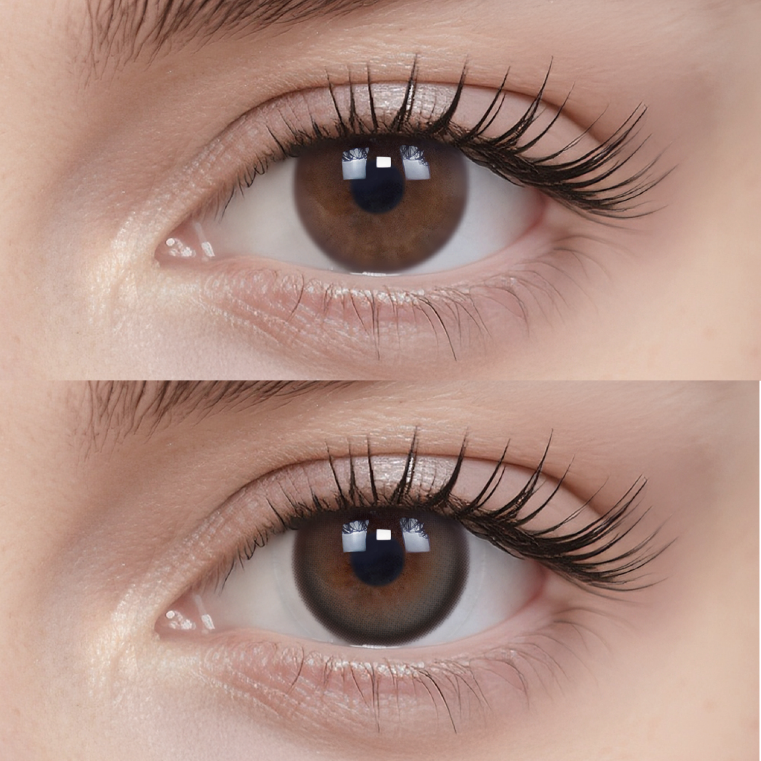 Espresso Pixels|1 Day,20pcs