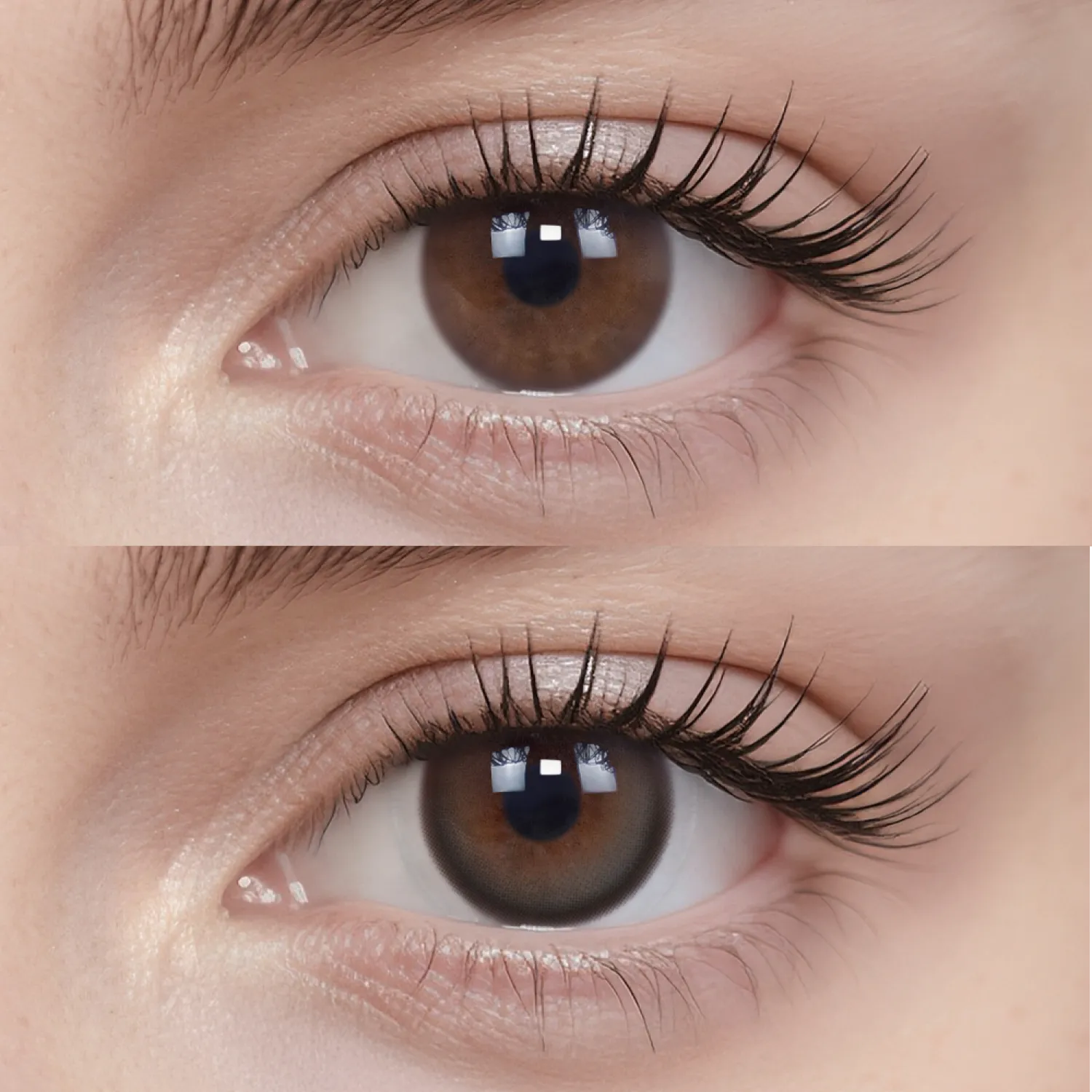 Espresso Pixels|1 Day,20pcs