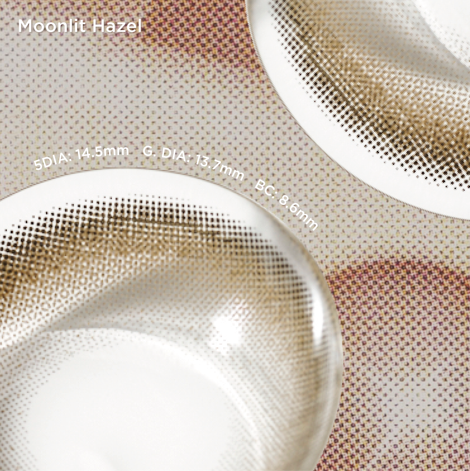 Moonlit Hazel|1 Day,20pcs