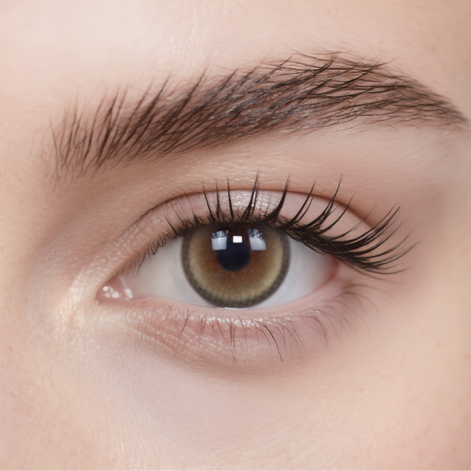 Moonlit Hazel|1 Day,20pcs