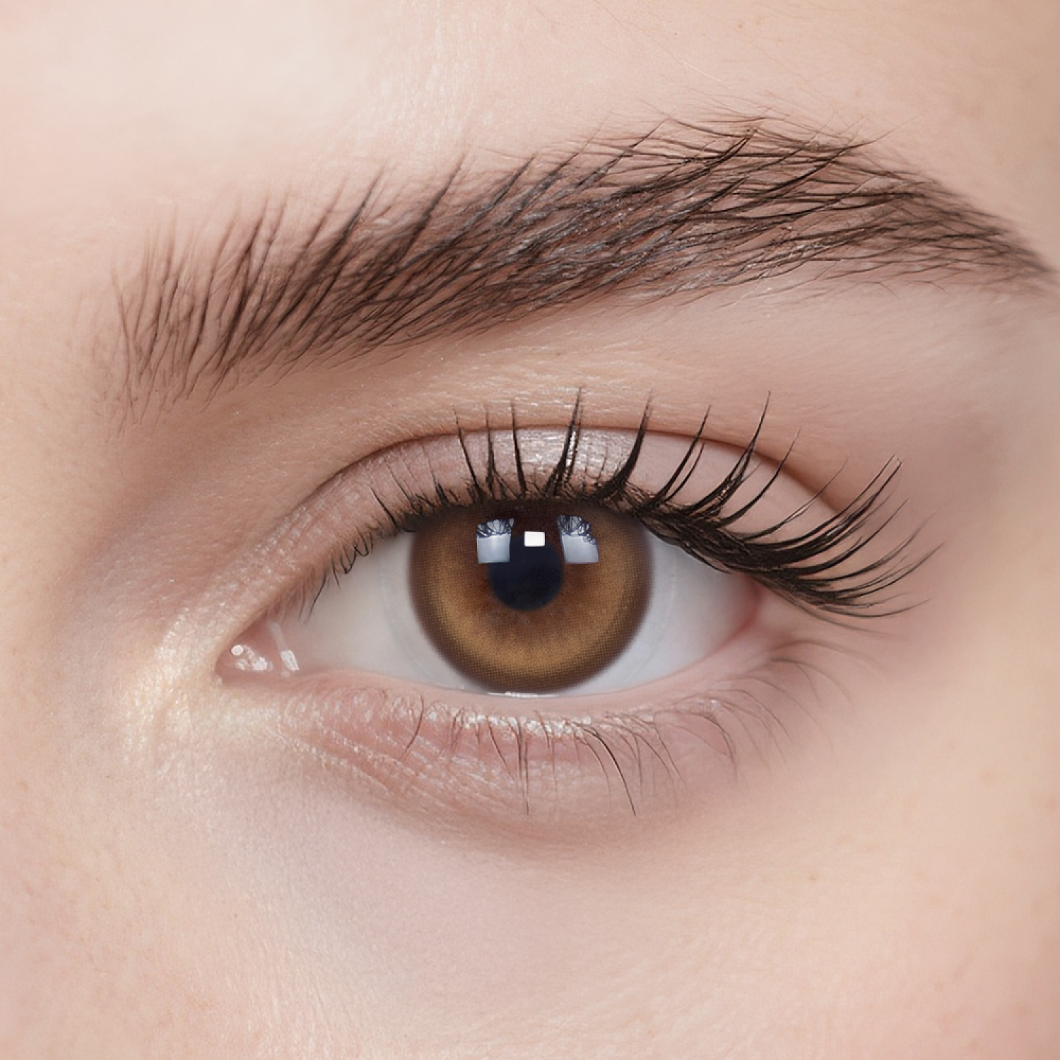 Double Coco|1 Day,20pcs