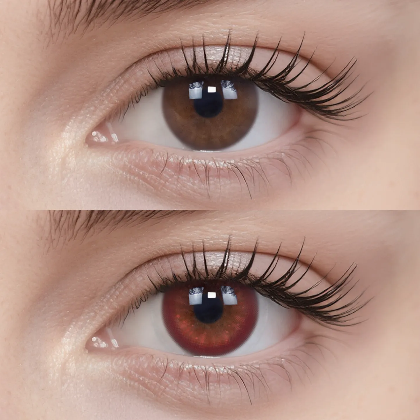 Poison Apple|1 Day,20pcs