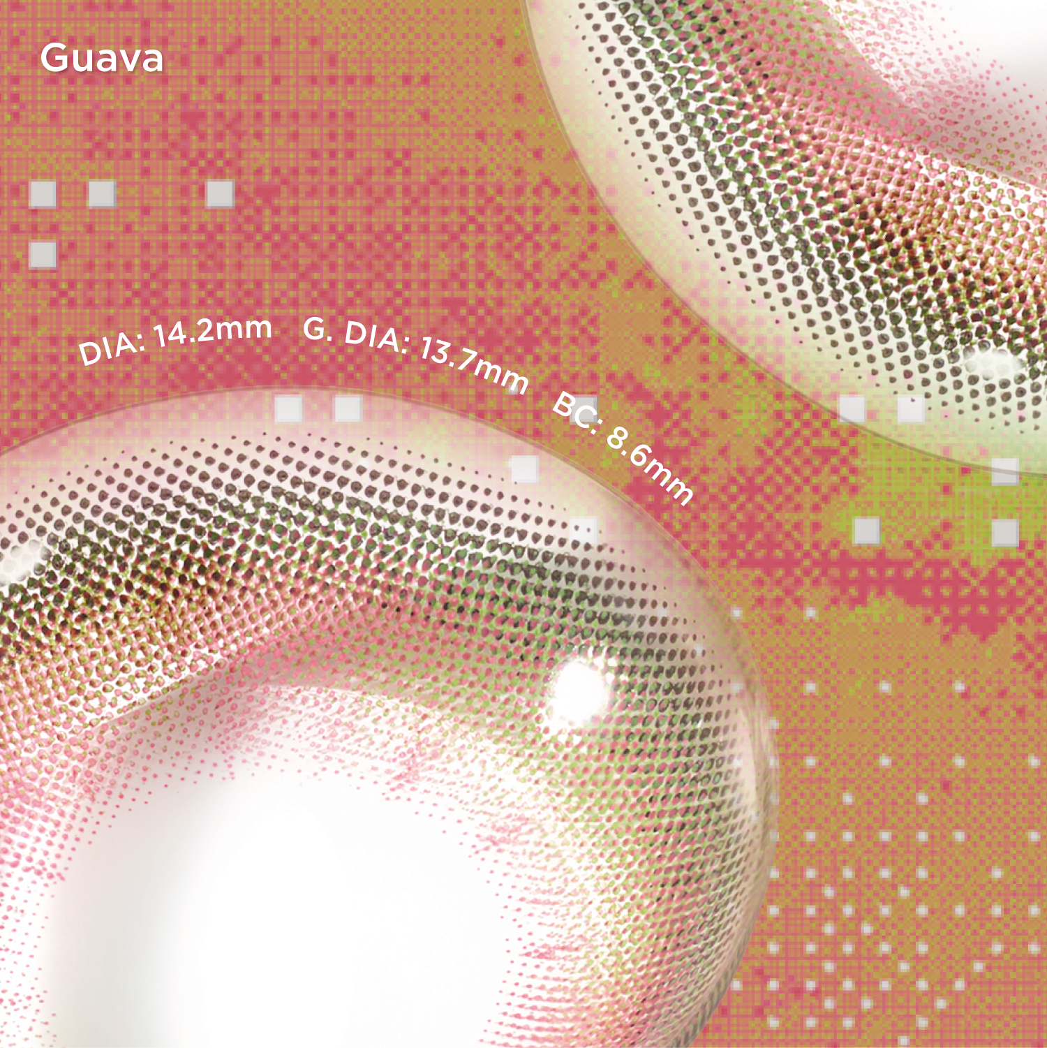 Guava|6 Months