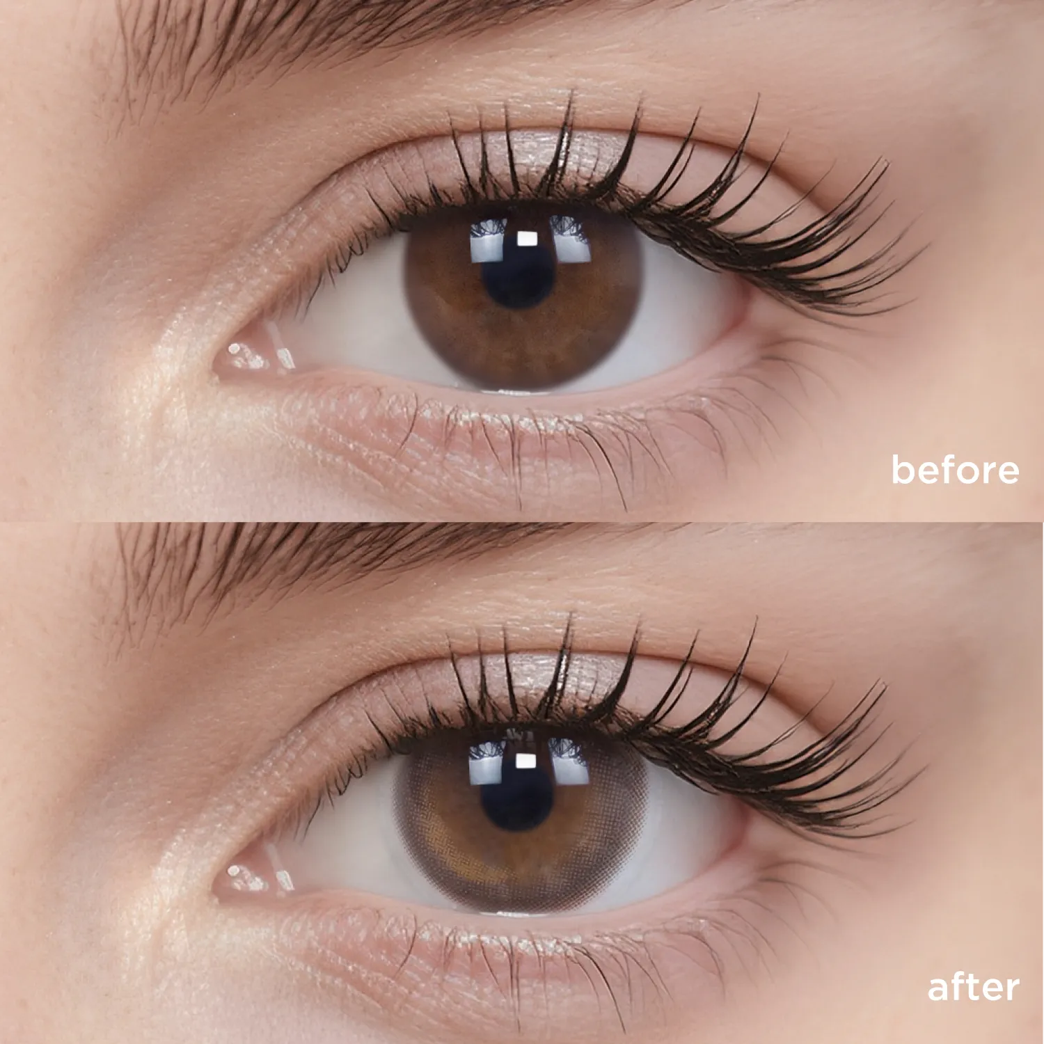 Breathe+Oolong Brown(1 Month)