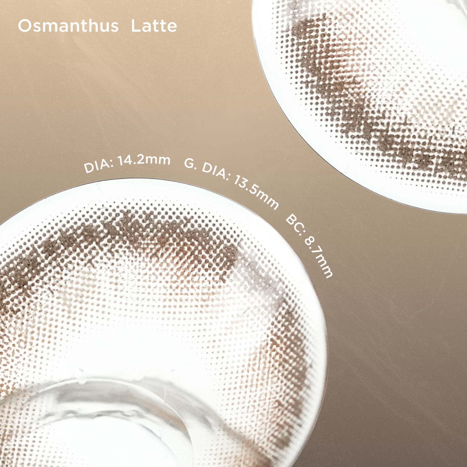 Osmanthus Latte-moodylenses